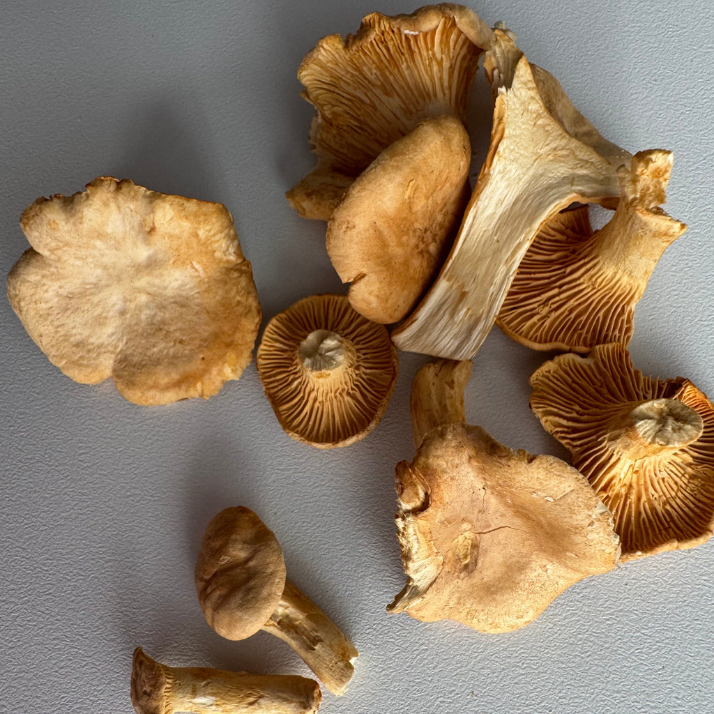 Liofilizuotos voveraitės 30g